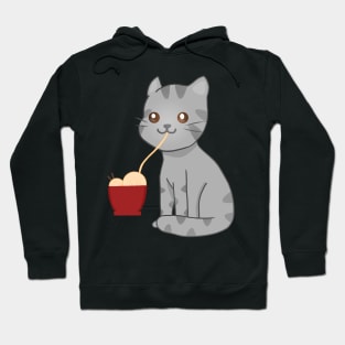 Kawaii Gray Cat Eating Ramen, Cat Lover Hoodie